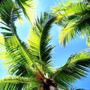 Meet your Posher, Katelyn